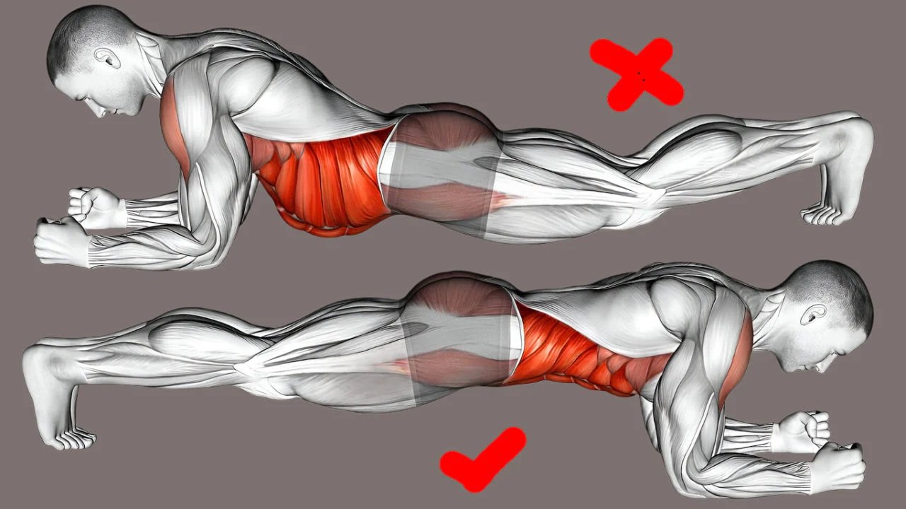 Plank Exercise